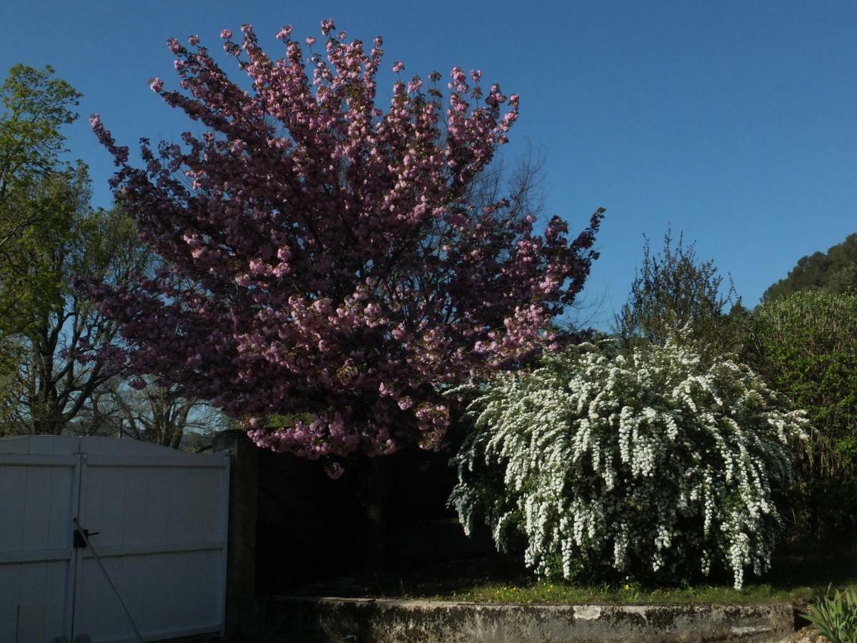 Bastide Du Bonheur Saint Donat Bed & Breakfast Greoux-les-Bains Exterior photo